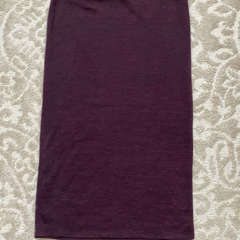 Express Pencil Skirt